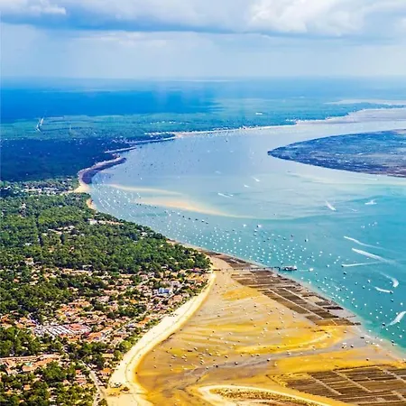 Des Pins-bassin D'arcachon * לה טיש